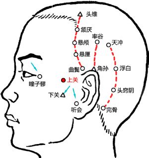 客主人 位置|上關穴